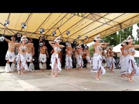 La troupe chilienne Bafochi du Festival Rythmes et Couleurs de Valentigney