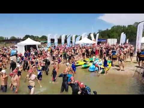 Open Swim Stars (Madine) : les nageurs au départ