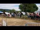 Concours d'agility au Paquis de Pont-à-Mousson