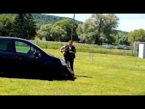Démonstration de la brigade canine de Metz à l'occasion des portes ouvertes du club canin de Pont- à Mousson