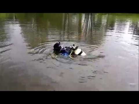 Pêche aux balles de golf à Rougemont-le-Château