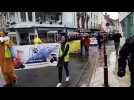 Vesoul : 180 personnes défilent dans les rues de Vesoul contre l'extension de l'élevage de visons d'Amérique de Montarlot-lès-Rioz