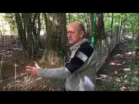 Emmanuel Renaud, chef de service de l’Office national de la chasse et de la faune sauvage, rappelle la réglementation en matière d’élevage de porcs domestiques