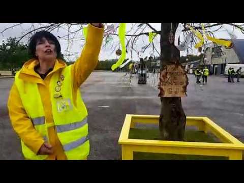 Verdun : la symbolique du printemps du changement expliquée par Véronique, gilet jaune de la première heure