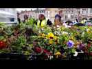 Les fleurs du jardin de P&acirc;ques de Pont-&agrave;-Mousson distribu&eacute;es - Label : L'Est Républicain - Category : News