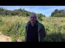 Imaginer l&rsquo;avenir de la for&ecirc;t communale en plantant des tulipiers de Virginie &agrave; Delle - Label : L'Est Républicain - Category : News
