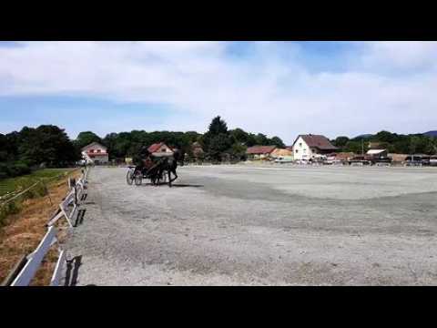 Concours d attelage à Froidefontaine