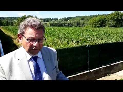 Jean Pierre Hoquet, maire de Mandeure, explique le pourquoi de son arrêté anti pesticides
