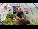 Comment planter et cultiver des salades ? - Label : L'Est Républicain - Category : News