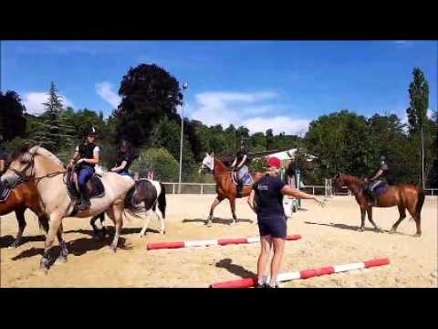 A L’Isle-en-Rigault, aux Écuries de Jeand’heurs, on procède aux derniers réglages avant le championnat de France de saut d’obstacles à Lamotte-Beuvron