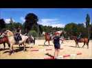 A L’Isle-en-Rigault, aux Écuries de Jeand’heurs, on procède aux derniers réglages avant le championnat de France de saut d’obstacles à Lamotte-Beuvron