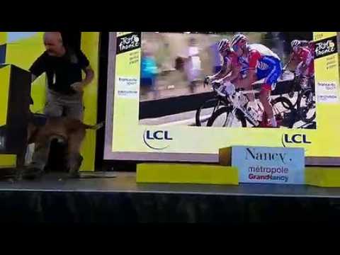Tour de France : le chien "Détection explosif" passe au crible le podium de l'arrivée à Nancy