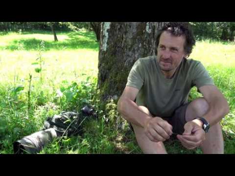 Une leçon de photo avec Vincent Munier