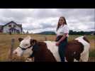 Flangebouche : la relation fusionnelle entre Manon et sa vache - Label : L'Est Républicain - Category : News