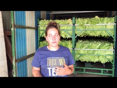 Aubérie Humair : "les saisonniers français travaillent jusqu'à fin août"