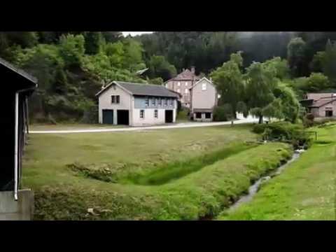 Balade en trottinette électrique dans la forêt à Saint-Sauveur