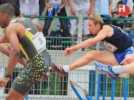 Meeting d'athl&eacute;tisme de Forbach 2008 - Label : Le Républicain Lorrain - Category : Sport