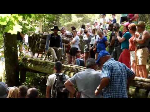 Une descente en schlitte à Sapois comme si vous y étiez