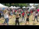 Les adolescents lanc&eacute;s dans un flashmob en plein Livrodrome - Label : Vosges Matin - Category : News