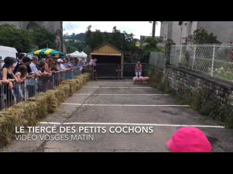 La foire aux petits cochons de Ruaux à Plombières-les-Bains