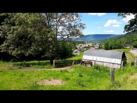 Un samedi avec les ânes de l'asinerie des Hautes-Vosges à Vecoux