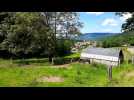 Un samedi avec les ânes de l'asinerie des Hautes-Vosges à Vecoux