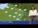 Le temps ce samedi sera doux et nuageux - Label : Les Dernières Nouvelles d'Alsace - Category : News