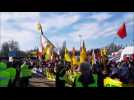 Quand les "camarades gilets jaunes" rencontrent les Kurdes pour manifester