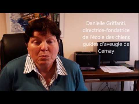 Un 200e chien est sorti de l'école de chiens d'aveugle de Cernay