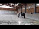 DNA - Une s&eacute;ance de d&eacute;bourrage &eacute;thologique par Sabine Schweiger  &agrave; l'&eacute;curie du Loti &agrave; Merkwiller-Pechelbronn - Label : Les Dernières Nouvelles d'Alsace - Category : Animaux