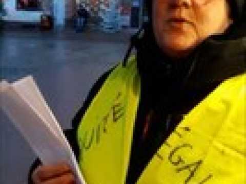 Interview d'une manifestante "Gilet Jaune" - Appel au Hold-Up sur les Européennes
