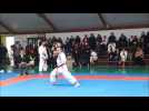 Championnats Haut-Rhin kata - Label : Les Dernières Nouvelles d'Alsace - Category : Sport