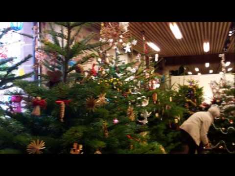 Bouxwiller : mise en place de l'exposition temporaire "Mon beau sapin..."