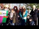 Plantation d'arbustes dimanche &agrave; Pfulgriesheim, en pr&eacute;sence des gr&eacute;vistes de la faim - Label : Les Dernières Nouvelles d'Alsace - Category : News