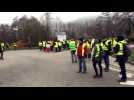 Gilets jaunes au tunnel de Schirmeck
