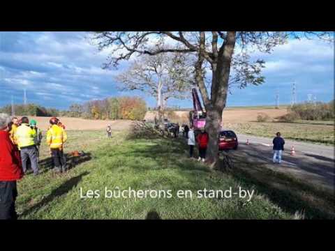 GCO Les arbres entre Pfulgriesheim et Pfettisheim ont été abattus