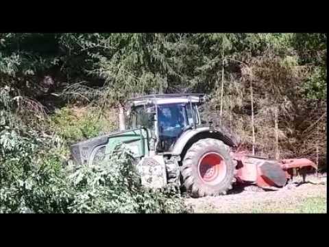 Déboisement en cours à Pfettisheim