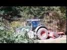 D&eacute;boisement en cours &agrave; Pfettisheim - Label : Les Dernières Nouvelles d'Alsace - Category : News