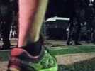 Les images de l'interpellation d'un opposant au GCO &agrave; Ernolsheim - Label : Les Dernières Nouvelles d'Alsace - Category : News