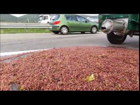 Une voiture percute un tracteur: la cargaison de raisin sur la RD83