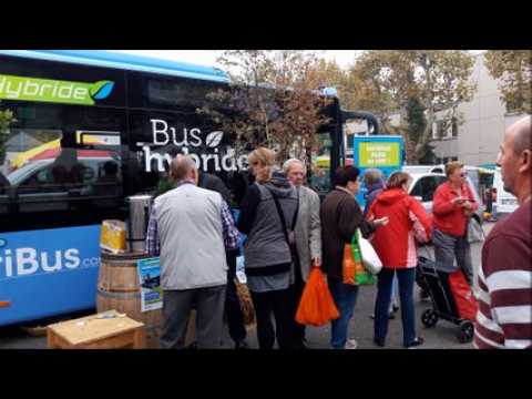 Saint-Louis : quand les bus se mettent au vert