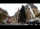 A Thann, le sapin de Noël a été installé