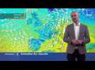 La m&eacute;t&eacute;o de ce lundi: froid et humide - Label : Les Dernières Nouvelles d'Alsace - Category : News