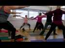 Une insolite s&eacute;ance de yoga avec des chats - Label : Les Dernières Nouvelles d'Alsace - Category : News
