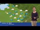 La m&eacute;t&eacute;o du mardi 15 janvier - Label : Les Dernières Nouvelles d'Alsace - Category : News