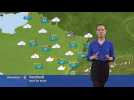 La m&eacute;t&eacute;o du vendredi 11 janvier - Label : Les Dernières Nouvelles d'Alsace - Category : News