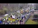 Les gilets jaunes manifestent à Colmar