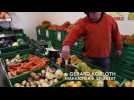 Les l&eacute;gumes anciens poussent bien en Alsace - Label : Les Dernières Nouvelles d'Alsace - Category : News