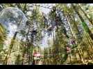 VERSANT MONTAGNE : Le bois des lutins