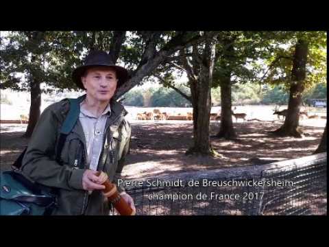 Championnat de France d'imitation de brame du cerf